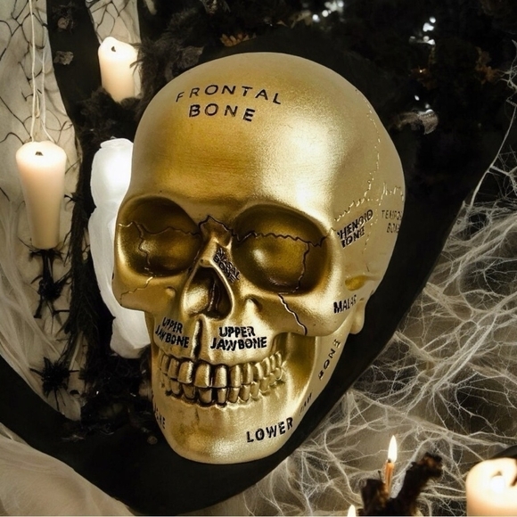 Paranormal Skull ASHLAND Gold Pentagram Map Skull Statue Halloween Witches Lair - Picture 2 of 7